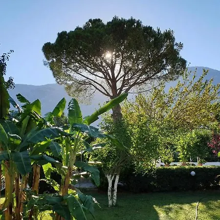 Hotel Gokcen Oludeniz