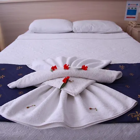 Hotel Gokcen 3*