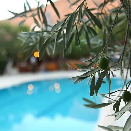 Gokcen Hotel Oludeniz